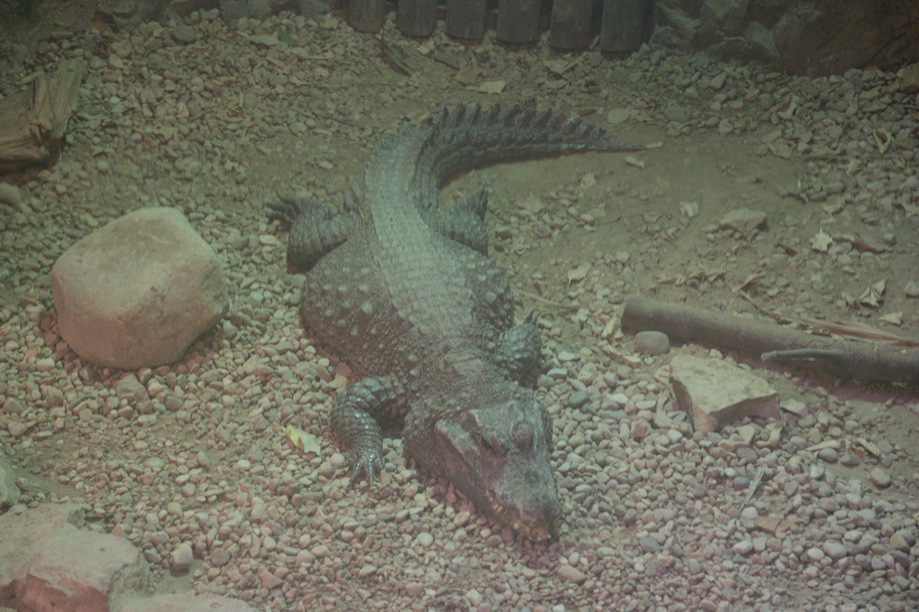 2025/10/12 - zoo/DSC_0150.jpg